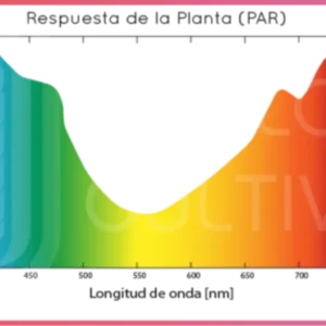 Lumenes PPF PPFD
