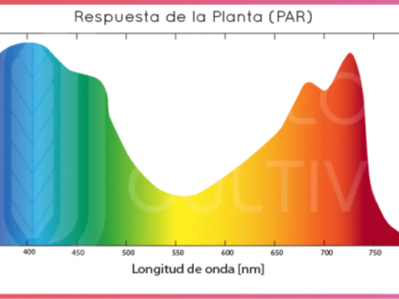 Lumenes PPF PPFD