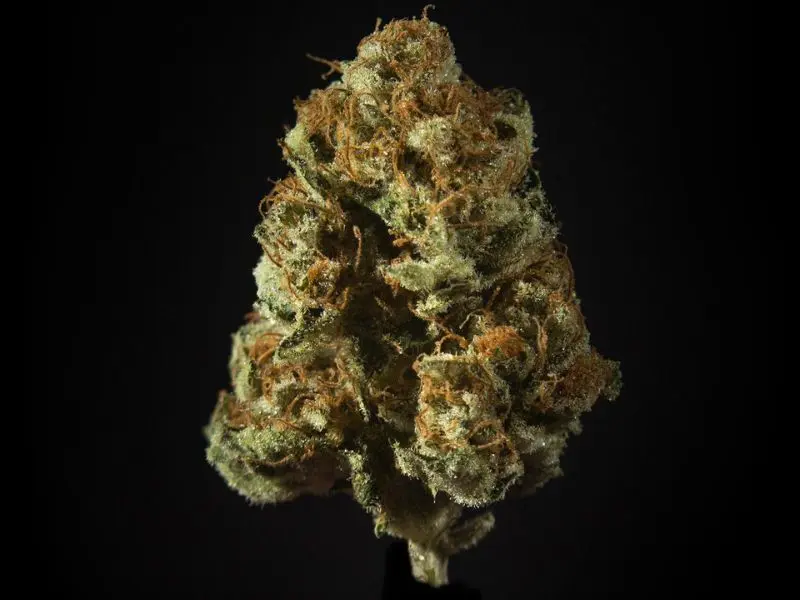 Tricomax