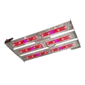 SCROG 80/100 Vital