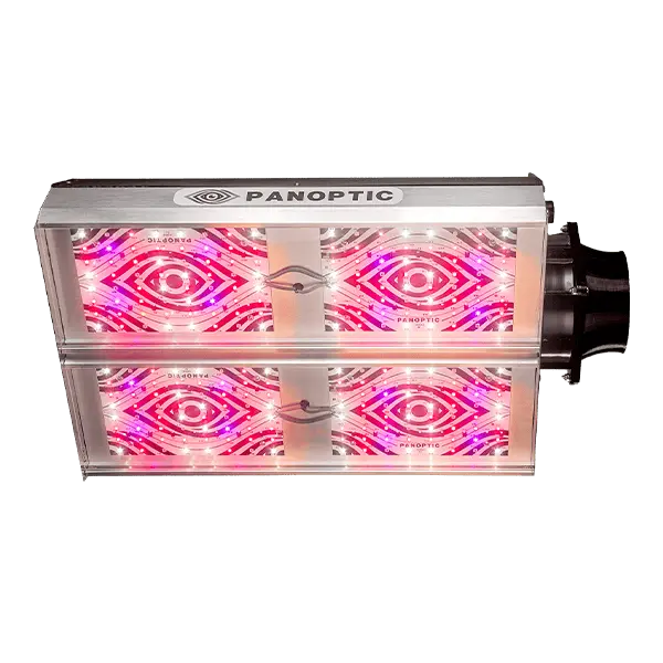 sala de cultivo panoptic faraday led