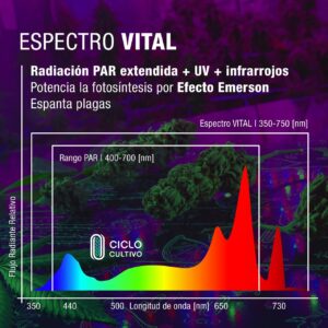 full specturm vs vital