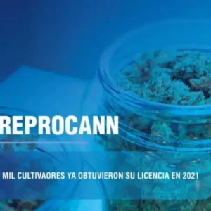 Guía oficial para tramitar el certificado REPROCANN de cultivo medicinal en Argentina