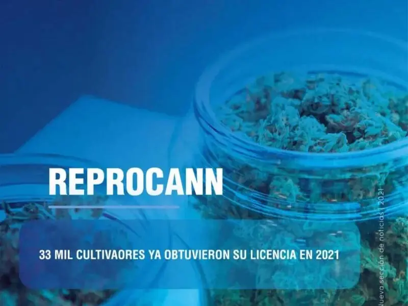 Guía oficial para tramitar el certificado REPROCANN de cultivo medicinal en Argentina