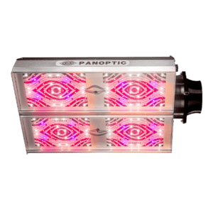 sala de cultivo panoptic faraday led