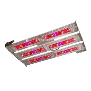 panel-led-scrog