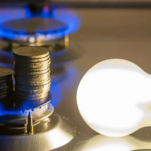 Subsidio LUZ y GAS, ¿Cómo anotarse? Guía paso a paso
