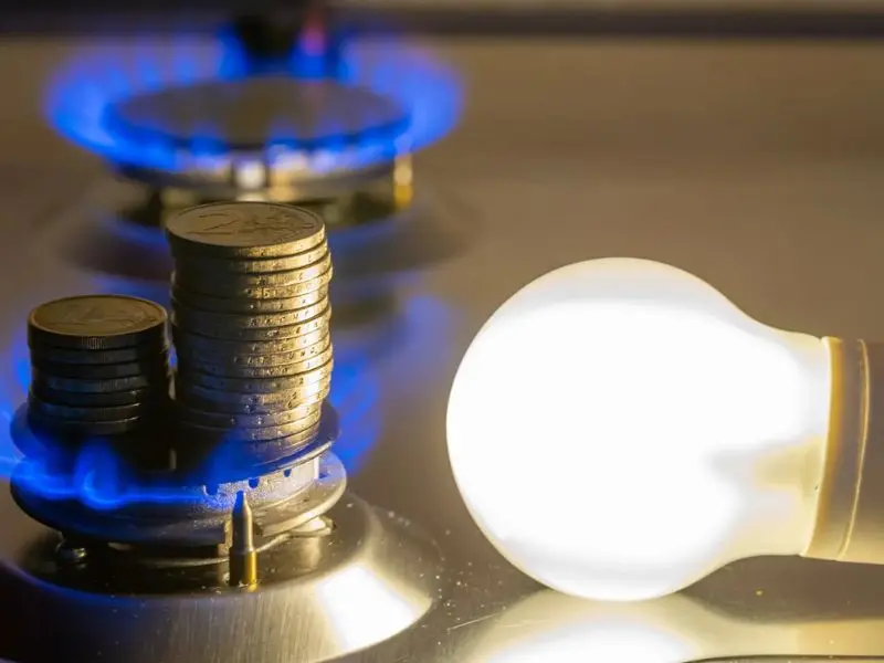 Subsidio LUZ y GAS, ¿Cómo anotarse? Guía paso a paso