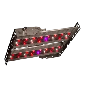 L90 Vital