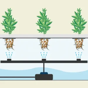 Sistema de aeroponía para cultivo de marihuana con raíces expuestas