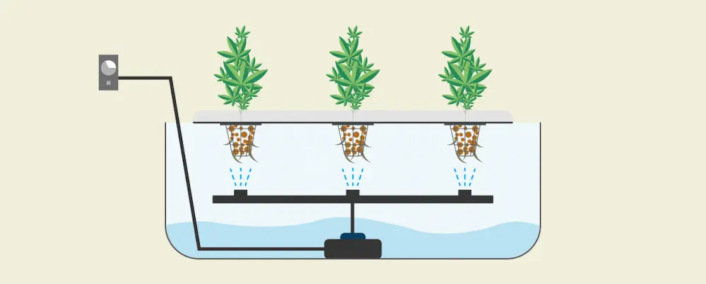 Sistema de aeroponía para cultivo de marihuana con raíces expuestas