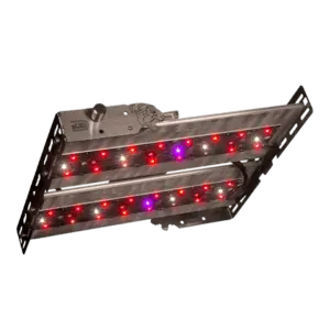 Kit de cultivo indoor completo en Argentina con carpa 80x80 y panel LED L90 Vital