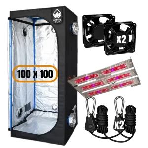 kit carpa led scrog