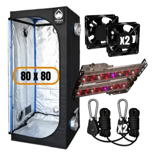 combo carpa luces
