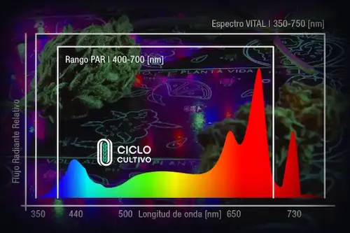 Espectro lumínico con picos de rojo e infrarrojo para activar el Efecto Emerson